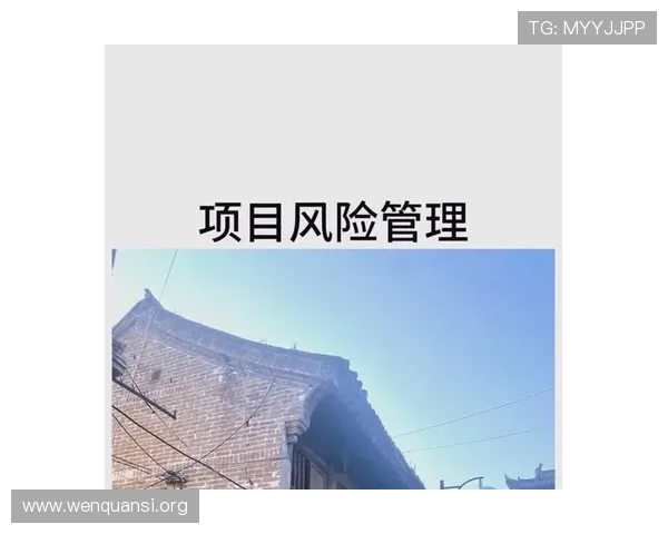 全面解析大发快三计划的玩法技巧与风险控制帮助玩家实现长期收益的实战指南